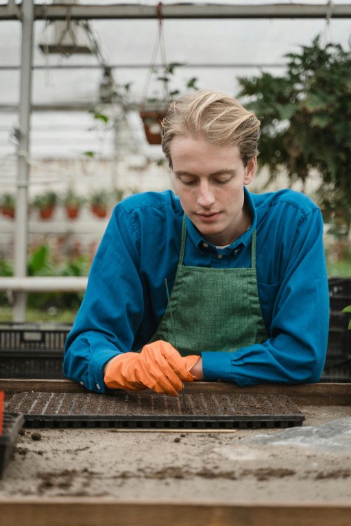 The Ultimate Guide to Cultivating Your Perfect Plants and Nursery