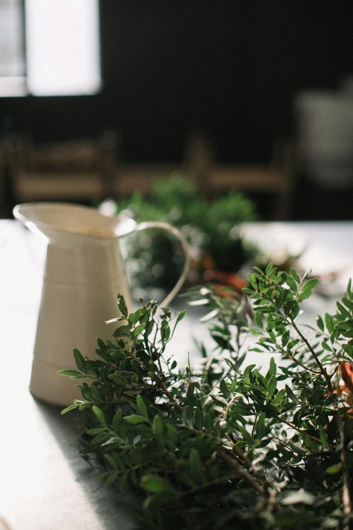 The Ultimate Guide to Cultivating Your Kitchen Herb Haven